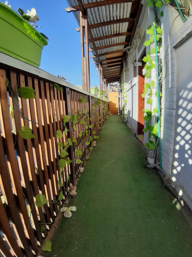 Hotel Star Guest- House Or Yehuda Esterno foto